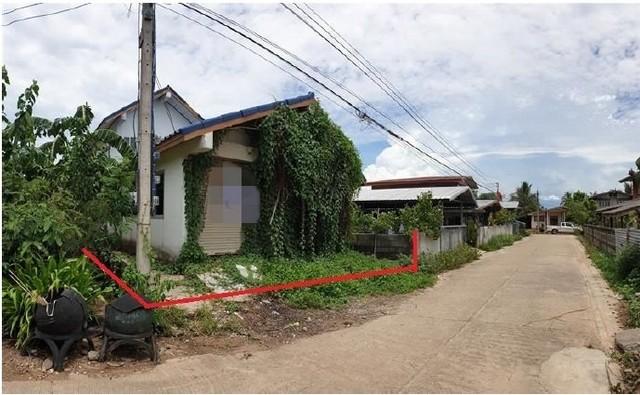 ��º�ҹ ��§�ҹ���