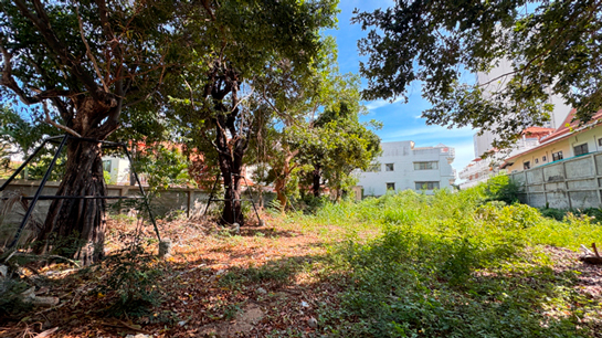 ที่ดิน pattaya ที่ดิน pattaya