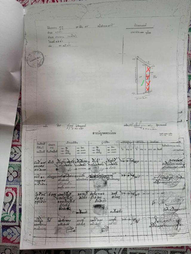 ���Թ 13 ���