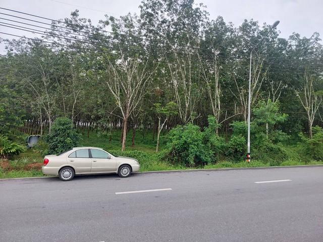 ขายที่ดิน สงขลา ขายที่ดิน สงขลา