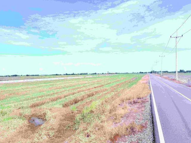 ���Թ 21 ���