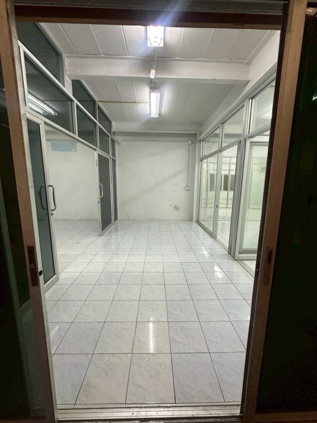 �ź��� �� 1000property