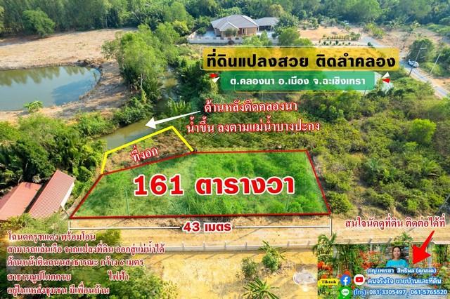 ที่ดิน 162 ตารางวา ที่ดิน 162 ตารางวา