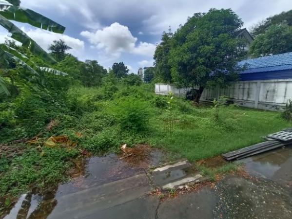 ��·��Թ 2,300,000 �ҷ