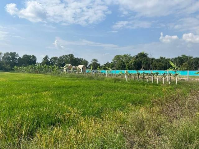 ·Õè´Ô¹ 1137 µÒÃÒ§ÇÒ ·Õè´Ô¹ 1137 µÒÃÒ§ÇÒ