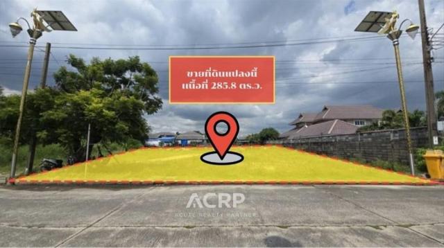 �ҧ�� �� Acute Realty Partner