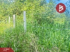 ��� ���Թ �ҧ�� ��§����