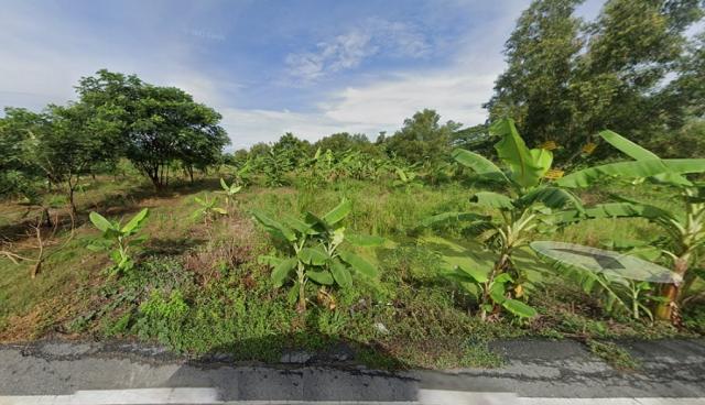 ���Թ 7 ���