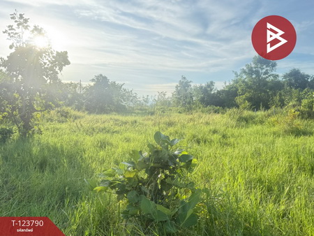 �ѹ��ҵͧ �� The Best Property Agent