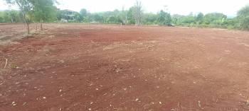 ���Թ 7 ���