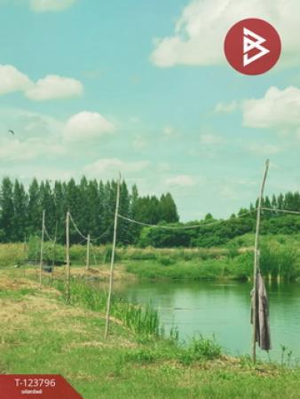 ���ͧ �� The Best Property Agent