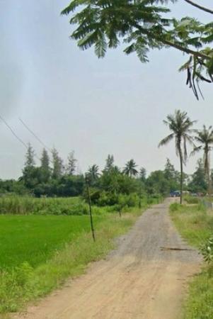 ���ྪú��� �� Estate Corner