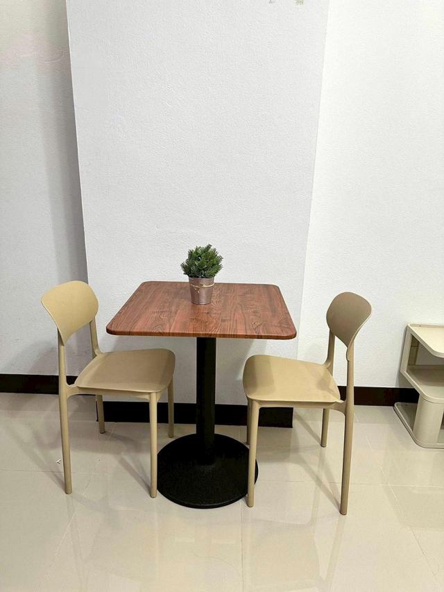 �͹������� �ѹ������§����