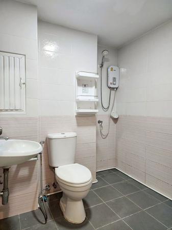 �͹������� �ѹ���� ��§����