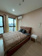 �����Ҥ͹� ����