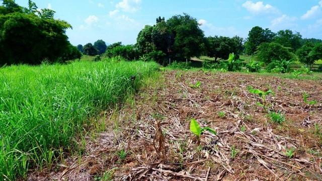 ���Թ ���