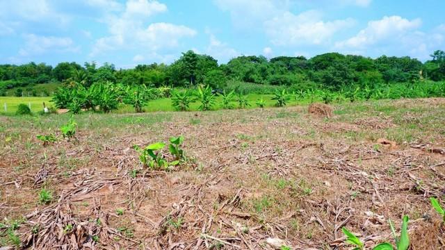 ��·��Թ ������ ���