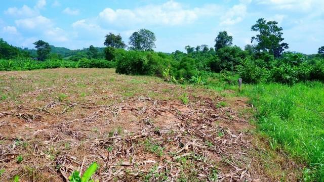 ���Թ ��� ¡�ŧ