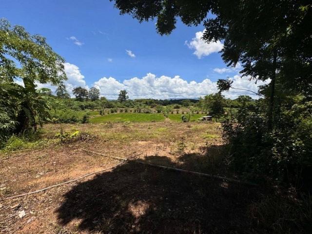 ���Թ ��� ⩹�������͹