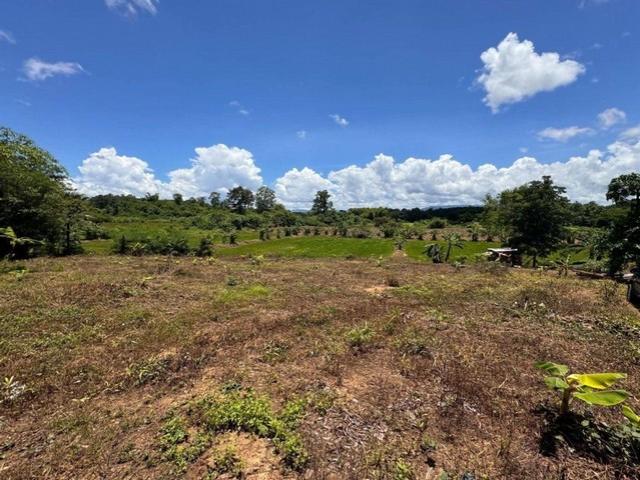 ���Թ ��� �Դ���