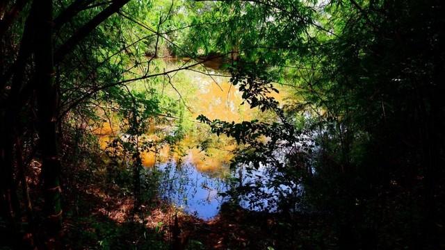 ��·��Թ ������ ���