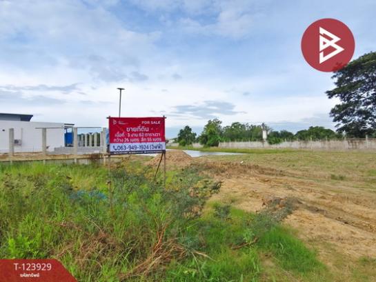 ��û�� �� The Best Property Agent