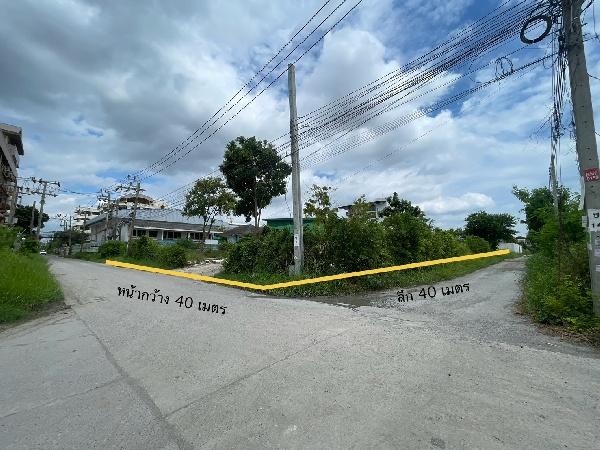 ���Թ ����ͧ