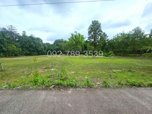 ���Թ ����ͧ