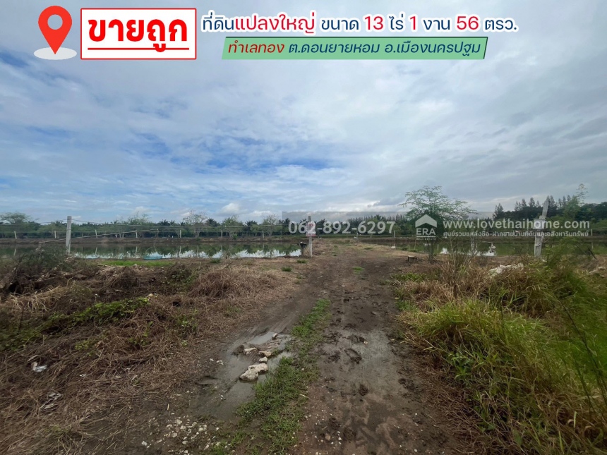 ขายที่ดิน เมือง 14 ไร่ ขายที่ดิน เมือง 14 ไร่
