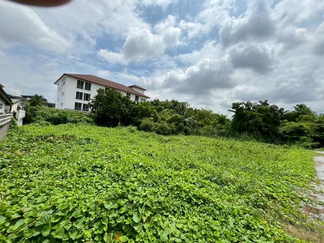 ���Թ �ҧ��Ѵ