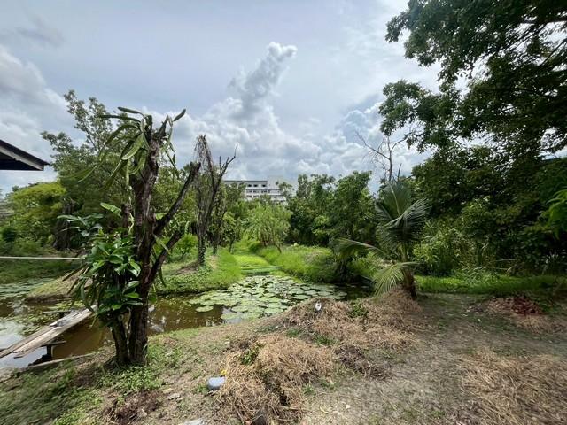 ��·��Թ �ҧ��Ѵ��ا෾