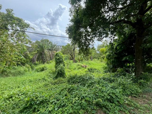 ��·��Թ �ҧ��Ѵ��ا෾