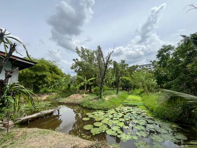 ��·��Թ �ҧ��Ѵ��ا෾