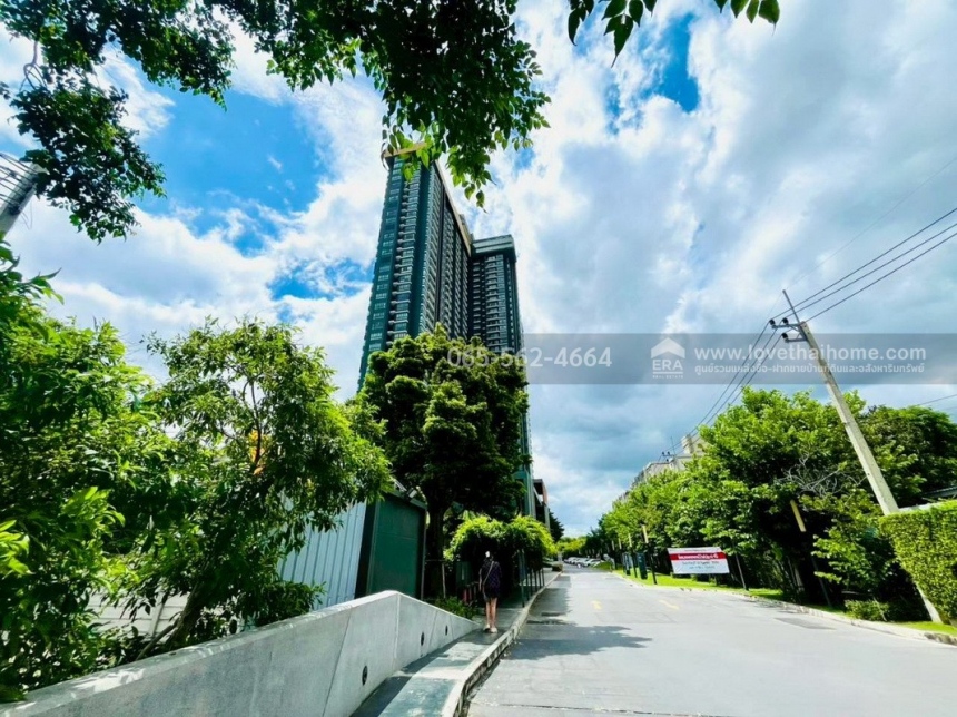 ��¤͹� �ҧ��Ѵ��ا෾