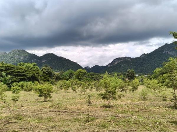 ���Թ 5 ���