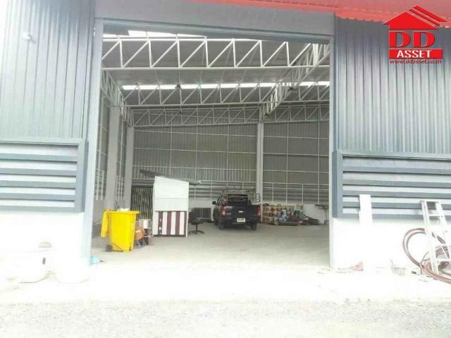 ���⡴ѧ ˹ͧ���ͻ����ҹ�