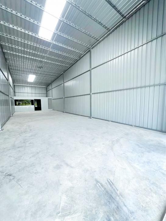 ⡴ѧ�红ͧ �ǹ��ǧ