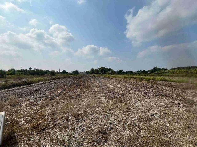 ���Թ ���ǹ �ŧ�˭�