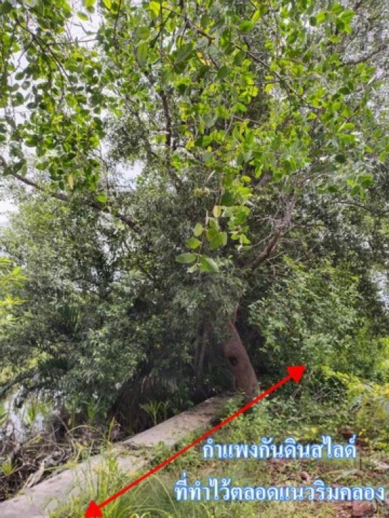 ��·��Թ ���ͧ��ط�ʧ������ط�ʧ����