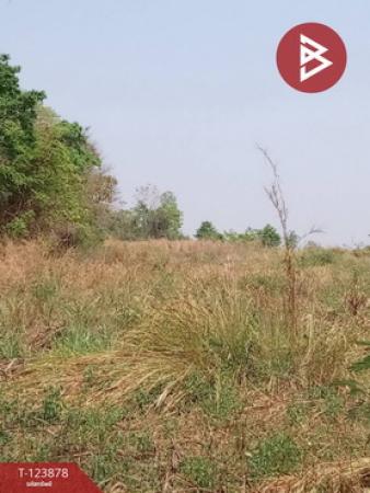 �͹�� �� The Best Property Agent