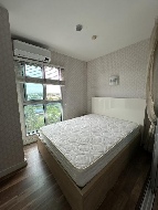 ������ �͹�