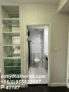 �͹� ���ͧ