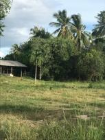 ��·��Թ �Ҥһ�С�Ȣ�� 880,000 �ҷ