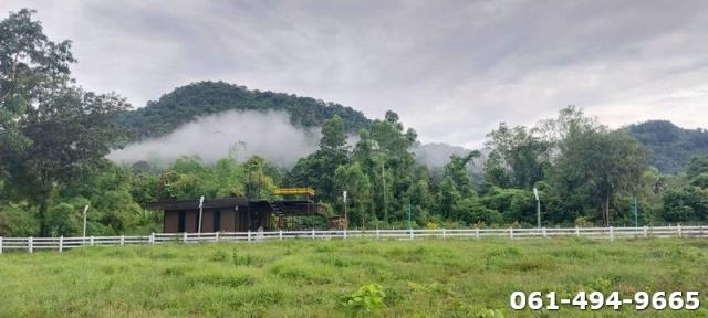 ขายที่ดิน 2,600,000 บาท ขายที่ดิน 2,600,000 บาท