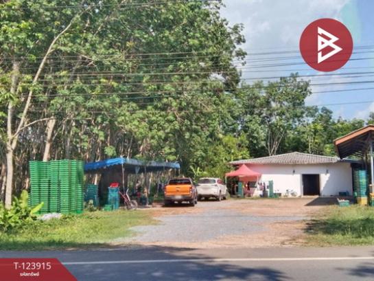 ที่ดิน 19 ไร่ ที่ดิน 19 ไร่