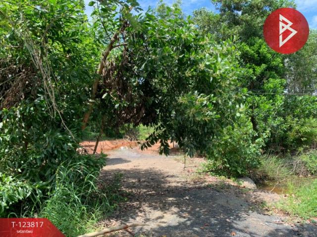 �ѹ����� �� The Best Property Agent