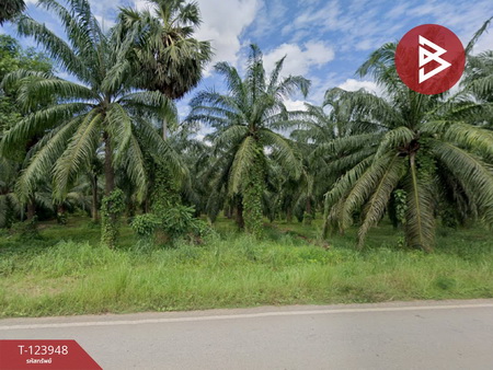 ���Թ 7 ���