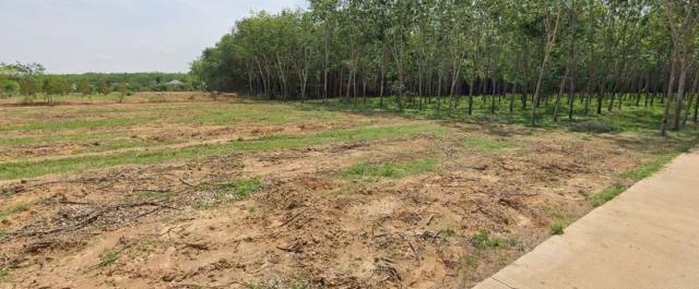 ขายที่ดิน สงขลา ขายที่ดิน สงขลา