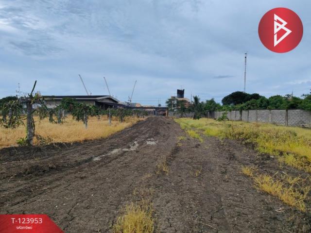 ��û�� �� The Best Property Agent