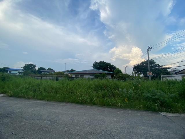 ��·��Թ �ѹ�����